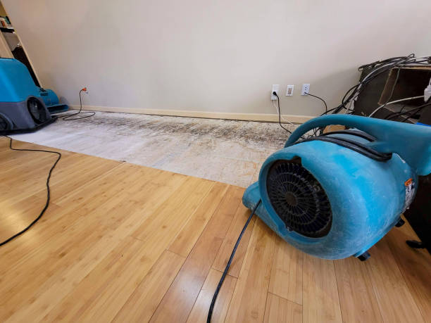 Professional Sewage Cleanup technician working in Melrose, OH